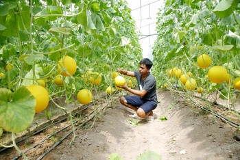 Vượt lên thách thức, nông nghiệp xã Văn Tiến bứt phá nhờ công nghệ