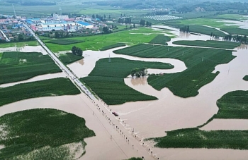 Nắng nóng, mưa lũ và bão: "Bộ ba hoàn cảnh" đe dọa mùa màng Trung Quốc