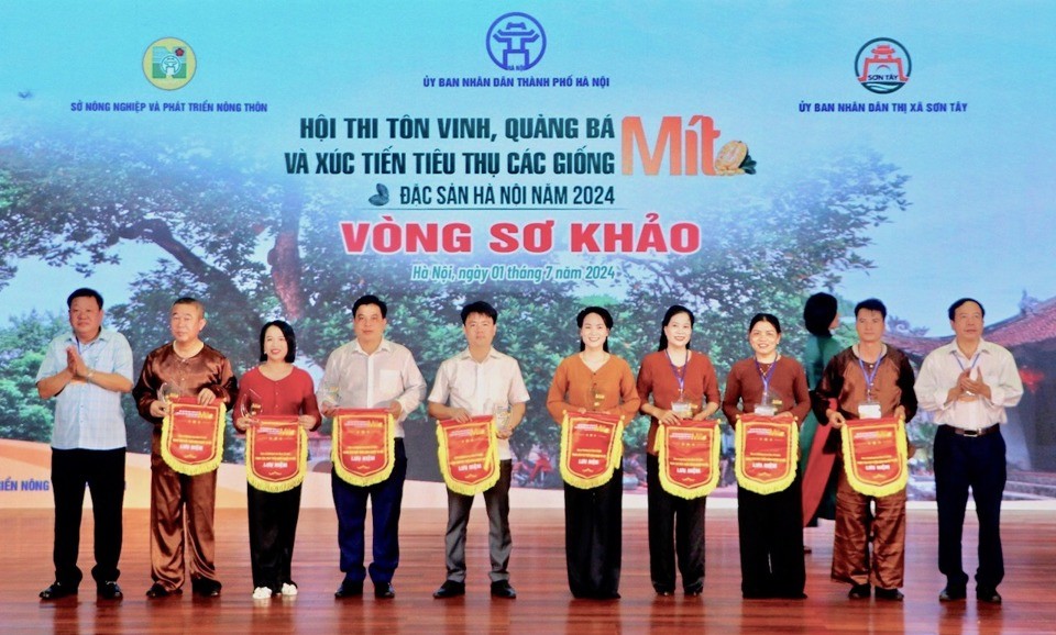 Khơi nguồn giá trị từ cây mít