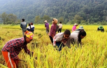 Chương trình 1719: "Cứu cánh" cho nông nghiệp vùng cao Lào Cai