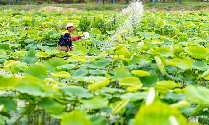 Thế giới 