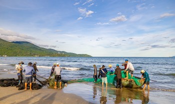 Nước mắm Nam Ô: Trăm năm lừng lẫy danh thơm