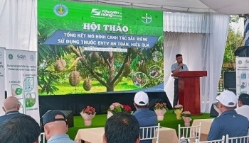 Đắk Nông: Hướng đến mô hình trồng sầu riêng dùng thuốc bảo vệ thực vật an toàn