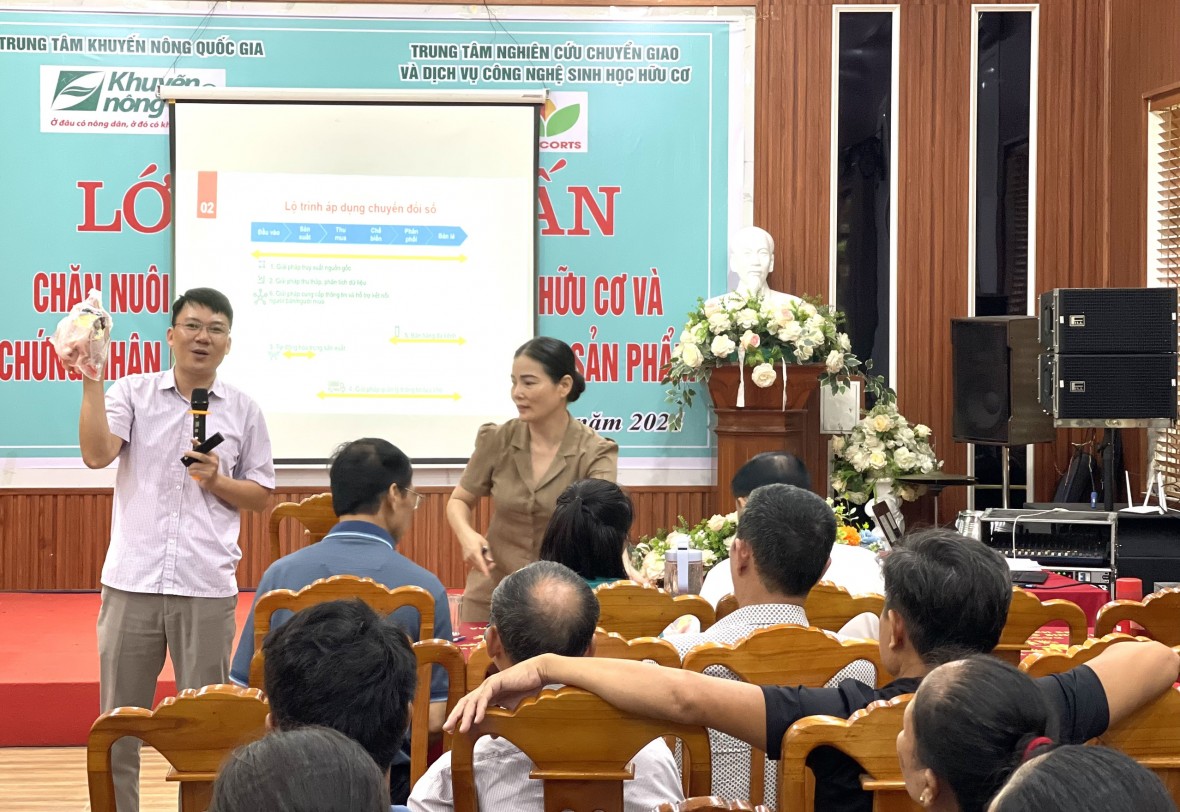 Nhân rộng chăn nuôi gà thịt bản địa theo mô hình hữu cơ