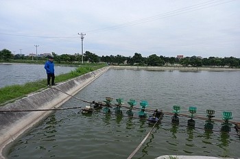 Huyện Gia Lộc mạnh tay đầu tư cho thủy sản