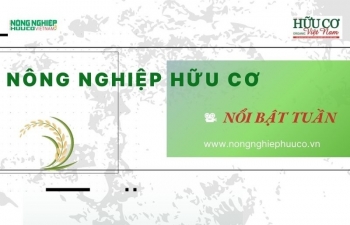 Nông nghiệp hữu cơ nổi bật trong tuần từ ngày 8 - 14/7