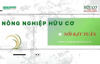 Nông nghiệp hữu cơ nổi bật trong tuần từ ngày 15 - 21/7