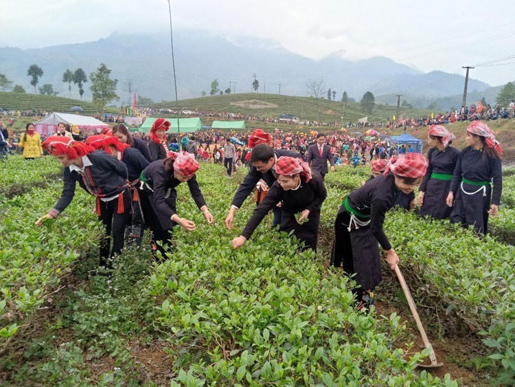 Lào Cai: Nông nghiệp hàng hóa 