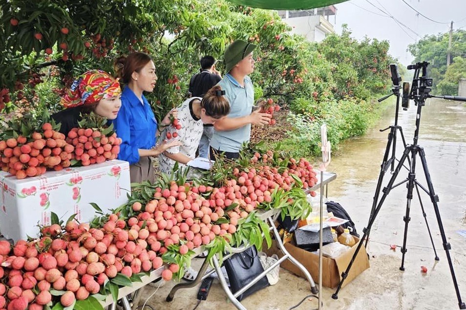 Livestream bán nông sản: "Cơn sốt" mới trên sàn thương mại điện tử