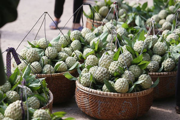 Na Lạng Sơn lên 