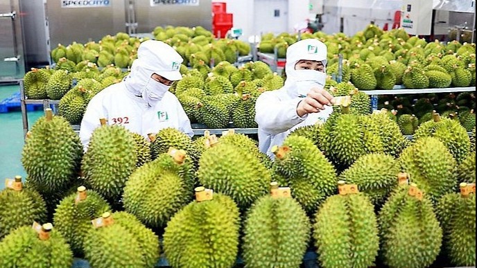 Thái Lan "phải lòng" rau quả Việt