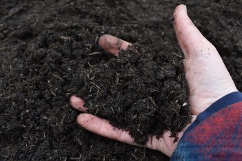 Biochar: 