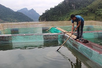 Sìn Hồ đẩy mạnh phát triển nuôi trồng thủy sản, nâng cao thu nhập cho người dân