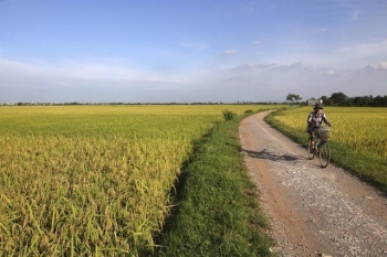 Kiên Giang chuyển đổi đất lúa, đẩy mạnh dự án cấp nước