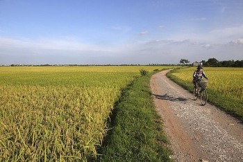 Kiên Giang chuyển đổi đất lúa, đẩy mạnh dự án cấp nước