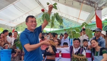 Đấu giá sâm Ngọc Linh: Chung tay xây dựng mái ấm cho đồng bào vùng cao