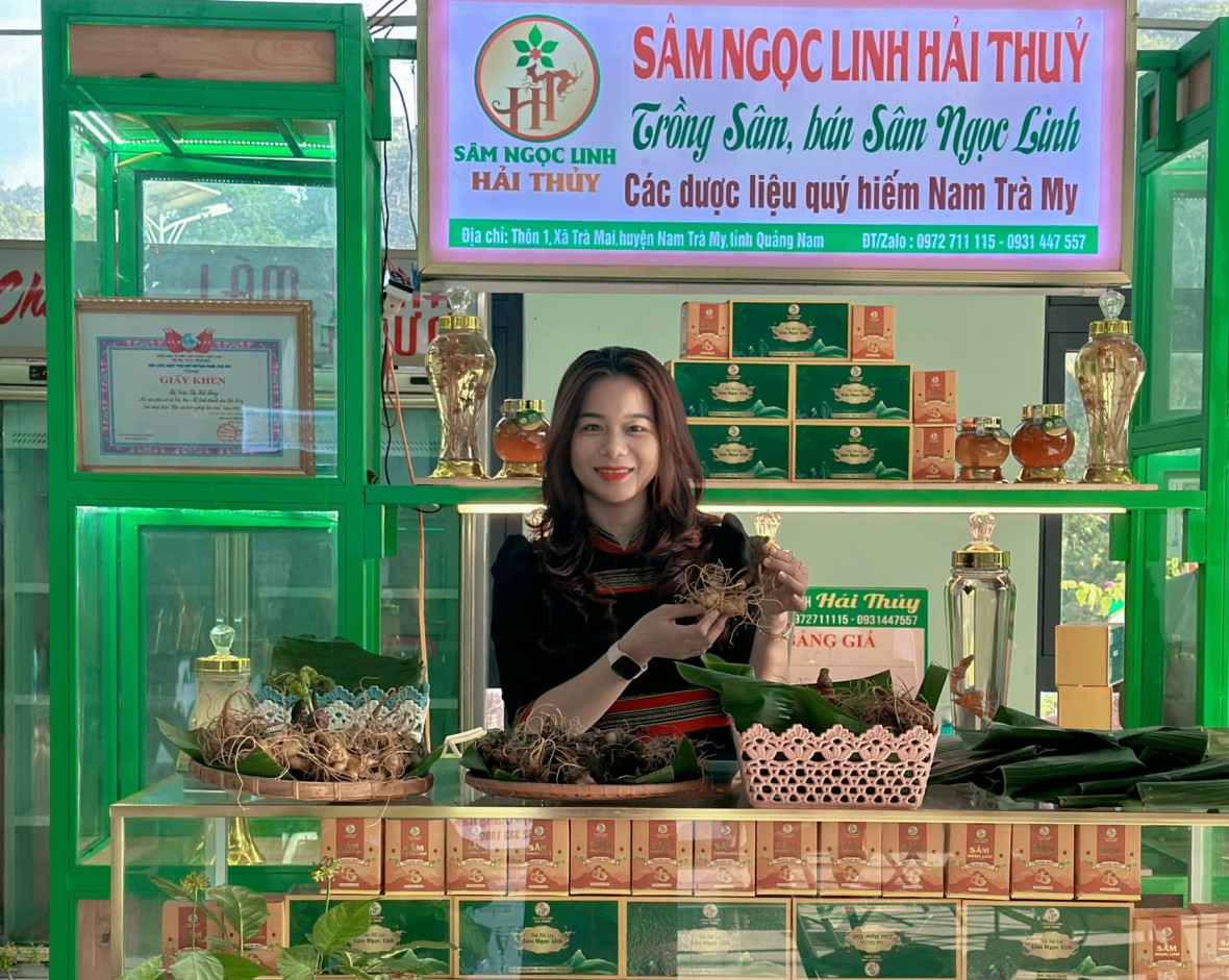 Đấu giá sâm Ngọc Linh: Chung tay xây dựng mái ấm cho đồng bào vùng cao