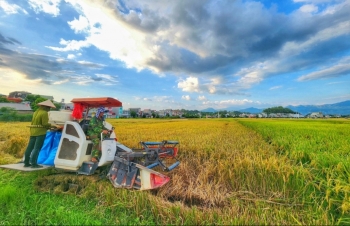 Điện Biên tiên phong chuyển đổi sang nông nghiệp sinh thái