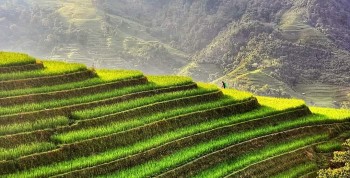 Hà Giang: Vững bước trên hành trình nâng tầm nông sản, hướng tới nông nghiệp xanh