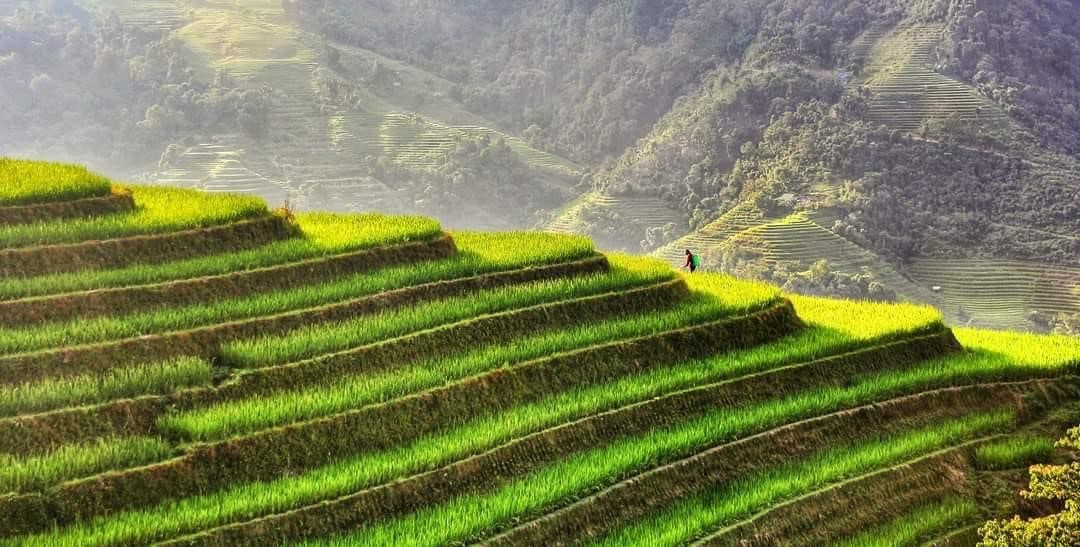 Hà Giang: Vững bước trên hành trình nâng tầm nông sản, hướng tới nông nghiệp xanh