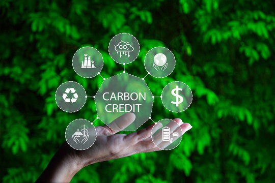 Tín chỉ carbon là gì?