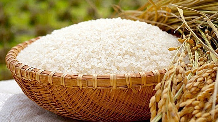 Giá lúa gạo hôm nay 7/8: Thị trường tăng nhẹ