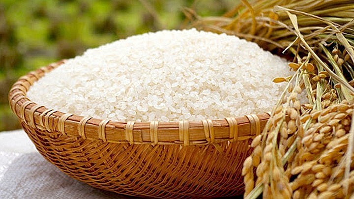 Giá lúa gạo hôm nay 7/8: Thị trường tăng nhẹ