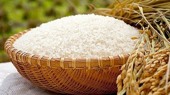 Giá lúa gạo hôm nay 7/8: Thị trường tăng nhẹ
