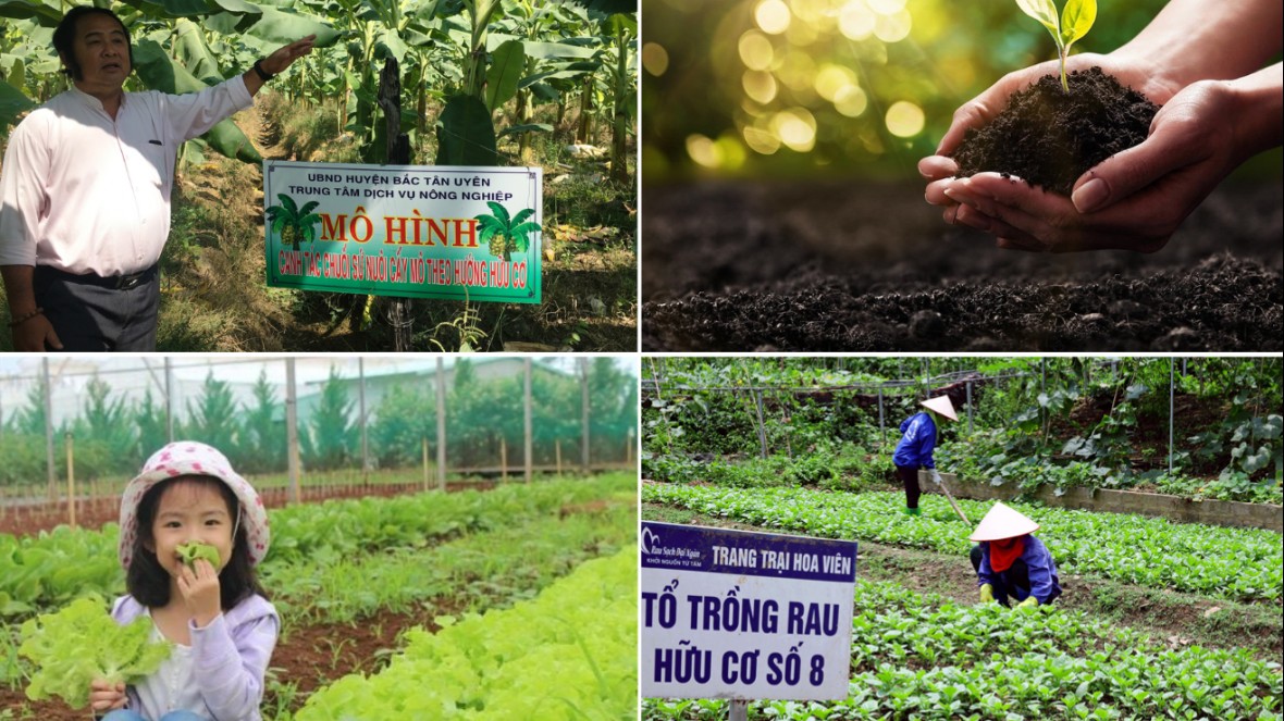 Phát triển nông nghiệp xanh để bảo đảm bền vững các trụ cột kinh tế - xã hội - môi trường