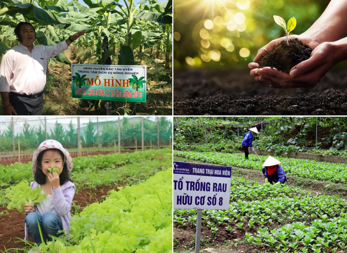 Phát triển nông nghiệp xanh để bảo đảm bền vững các trụ cột kinh tế - xã hội - môi trường