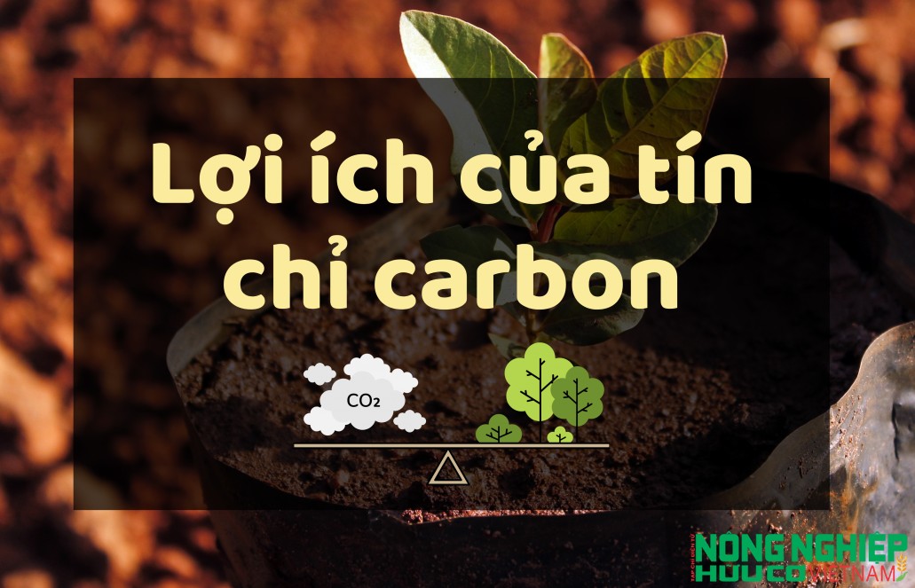 Lợi ích của tín chỉ carbon