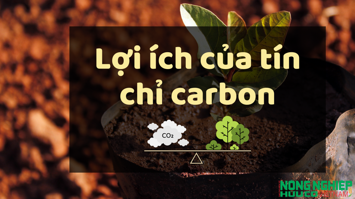 Lợi ích của tín chỉ carbon