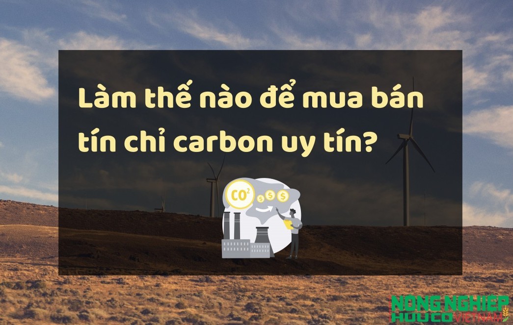 Làm thế nào để mua bán tín chỉ carbon minh bạch và uy tín?