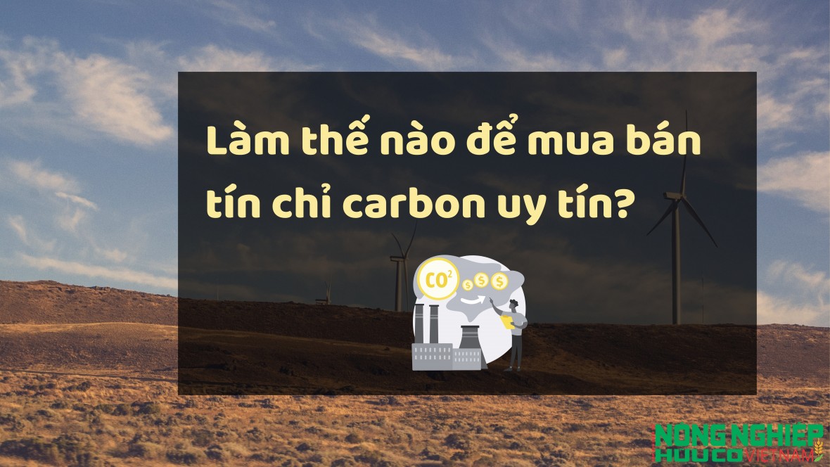 Làm thế nào để mua bán tín chỉ carbon minh bạch và uy tín?