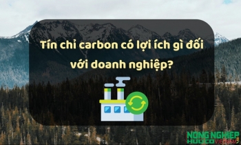 Tín chỉ carbon có lợi ích gì đối với doanh nghiệp?