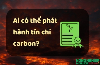 Tổ chức nào phát hành tín chỉ carbon?