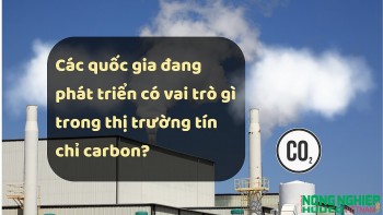 Các quốc gia đang phát triển có vai trò gì trong thị trường tín chỉ carbon?