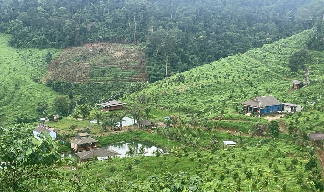 Huyện Tuy Đức (Đắk Nông): Xử phạt trường hợp tự ý chuyển đổi đất rừng sản xuất