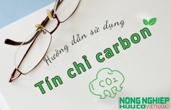 Quy trình sử dụng tín chỉ carbon