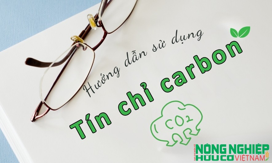 Quy trình sử dụng tín chỉ carbon