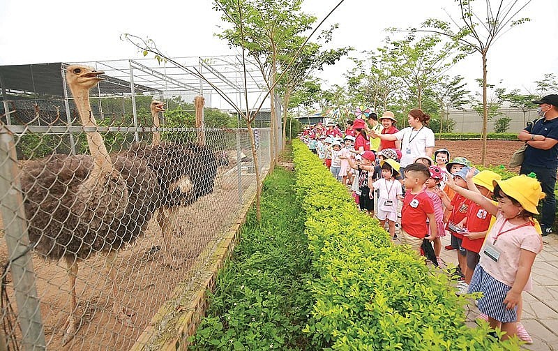 Hà Nội đẩy mạnh phát triển nông nghiệp hữu cơ gắn với du lịch sinh thái (Ảnh minh họa).