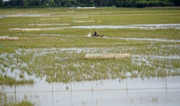 Miền Tây 