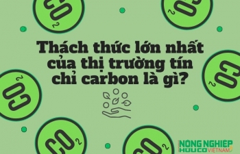 Những thách thức của thị trường tín chỉ carbon