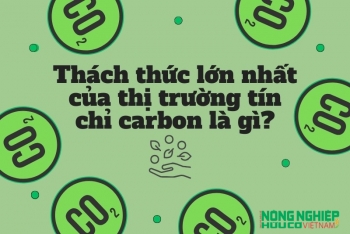 Những thách thức của thị trường tín chỉ carbon