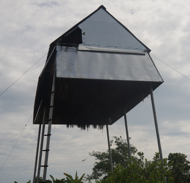 Mô hình làm giàu 'không giống ai' ở Tây Ninh