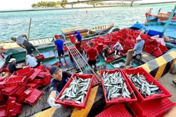 Khánh Hòa chạy đua gỡ 'thẻ vàng' IUU, siết chặt quản lý tàu cá