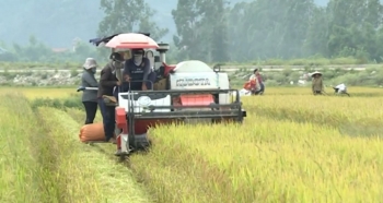 Ninh Bình bứt phá tăng trưởng