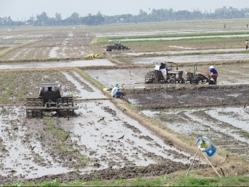 Huyện Tân Hồng - Đồng Tháp chuyển mình nhờ ứng dụng công nghệ cao vào nông nghiệp