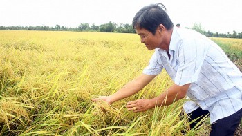 Nông dân Đồng bằng sông Cửu Long 