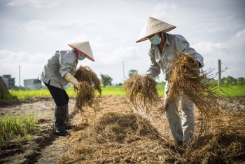 "Lối mở" cho nông nghiệp tuần hoàn